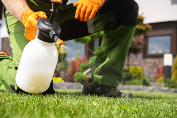 Best Insect Control  in Brownsburg, IN