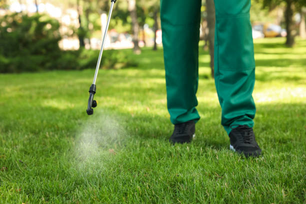 Best Termite Control Services  in Brownsburg, IN
