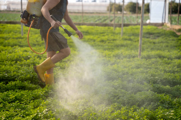Best Residential Pest Control  in Brownsburg, IN