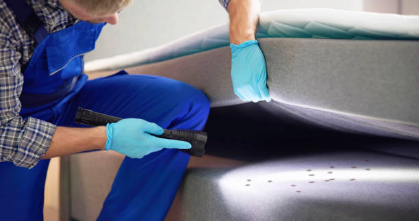 Best Local Pest Control Services  in Brownsburg, IN